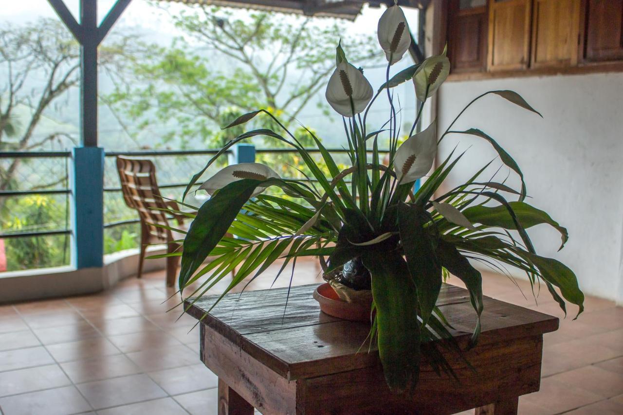 Hotel Rabin Itzam ลังกิน ภายนอก รูปภาพ